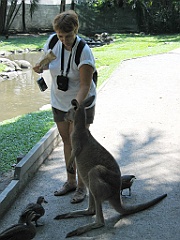 CairnsTC300 Wildlife Habitat